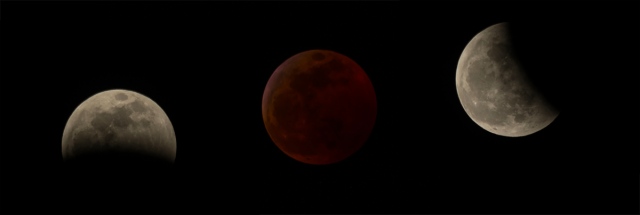 January 2019 Lunar eclipse, photography by PJ Bennett